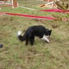 foire-haricots 2011-09-17et18